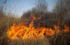 На востоке Украины предупреждают о чрезвычайном уровне пожарной опасности