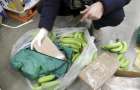 В Испании в коробках с бананами нашли шесть тонн кокаина