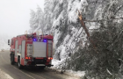 Непогода на Закарпатье: более 40 населенных пунктов обесточены