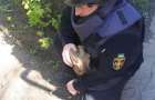 Resident of Mariupol found a grenade in the courtyard of a high-rise building