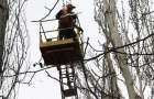В Константиновке планируют удалить больше 60 аварийных деревьев