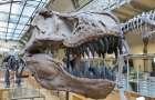 Скелет динозавра был продан за 2 млн евро 
