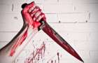 Убийство в Запорожье: женщина использовала шесть ножей, чтобы отомстить обидчику