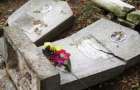 На Донетчине подростки «на спор» разбили больше 10 могил