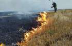 В Константиновке пожарные тушили возгорания сухой травы и хозяйственных построек