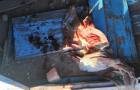 В Николаевской области на пустыре обнаружили тело новорожденного