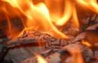 Житель Константиновки погиб при пожаре в частном доме