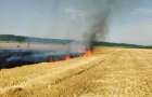 В Константиновском районе пожар уничтожил 20 га пшеницы