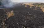 В Никольском районе пожар уничтожил 13 га пшеницы
