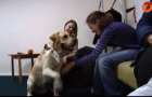 В Мариуполе детей с особыми потребностями лечат при помощи собак
