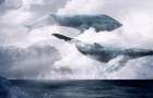 Парень сымитировал самоубийство, чтобы разоблачить «синих китов»