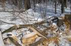В Святогорске полиция остановила незаконную вырубку деревьев