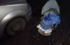 Мирноград: женщина с годовалым ребенком попала под машину