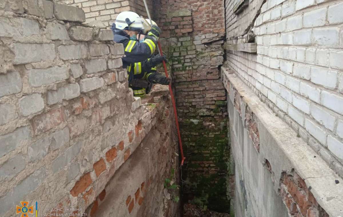 В Константиновке спасатели достали собаку из глубокого подвала