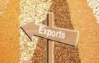 Ukraine exports a record number of agricultural goods to the EU