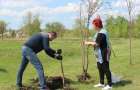 Парк на пустыре: местные власти Дружковки вновь высадили деревья на «болоте»