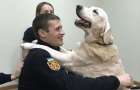 Впервые в Украине в штат спасателей зачислена собака