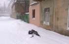 Пьяные дети в Константиновке чуть не замерзли в снегу