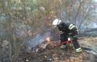 В Донецкой области горело 2 гектара леса