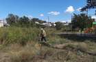 В посёлке Первомайский в Константиновке наконец-то убирают карантинные травы 