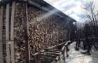 В Славянском районе задержали «черных лесорубов»