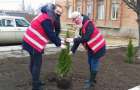 В Марьинке высадили новые деревья для городской аллеи